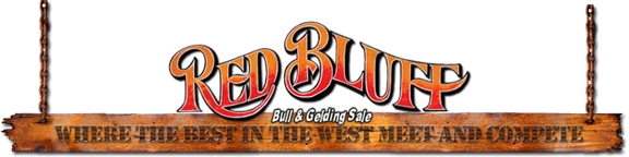 red-bluff-bull-sale