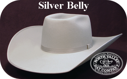 silver-belly-hat